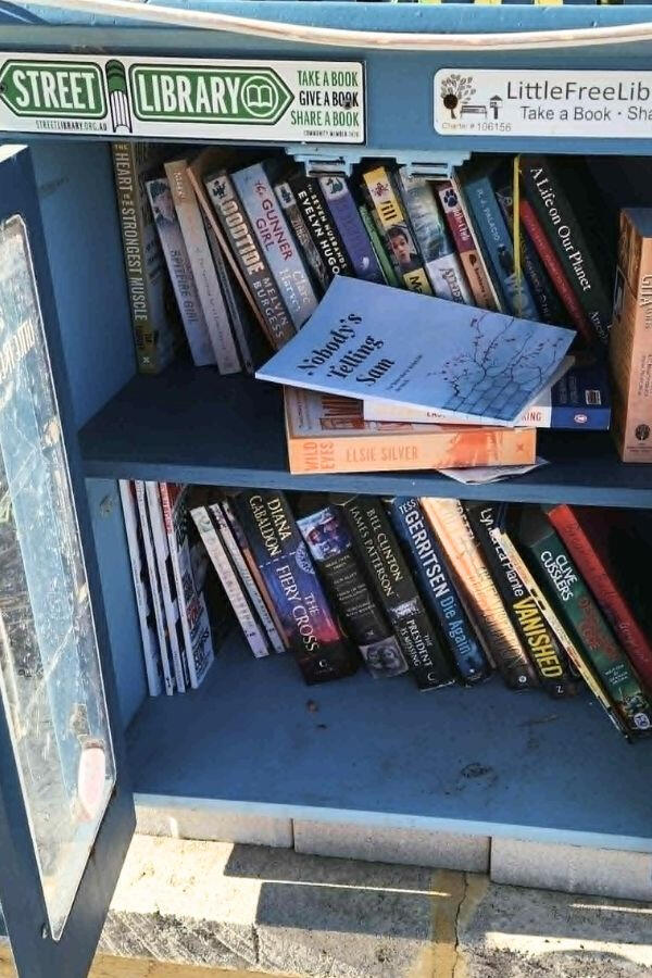 The book 'Nobody’s Telling Sam' by S.A.M. left in a street library. The book 'Nobody’s Telling Sam' by S.A.M. left in a street library.